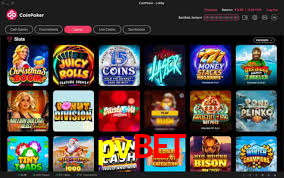 pvbet casino