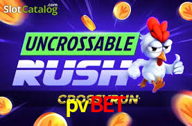 pvbet
